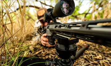 Shooting Tripods and Late-Year Hog Hunting